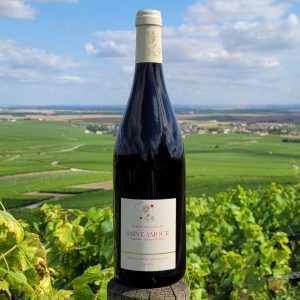 Grand Cru du Beaujolais - Saint-Amour