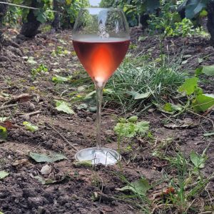 Verre - Lehmann 30cl